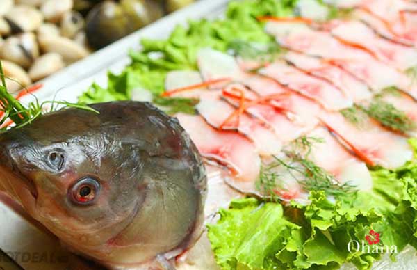 2 cách nấu lẩu cá trắm ngon chuẩn vị – giàu chất dinh dưỡng 3